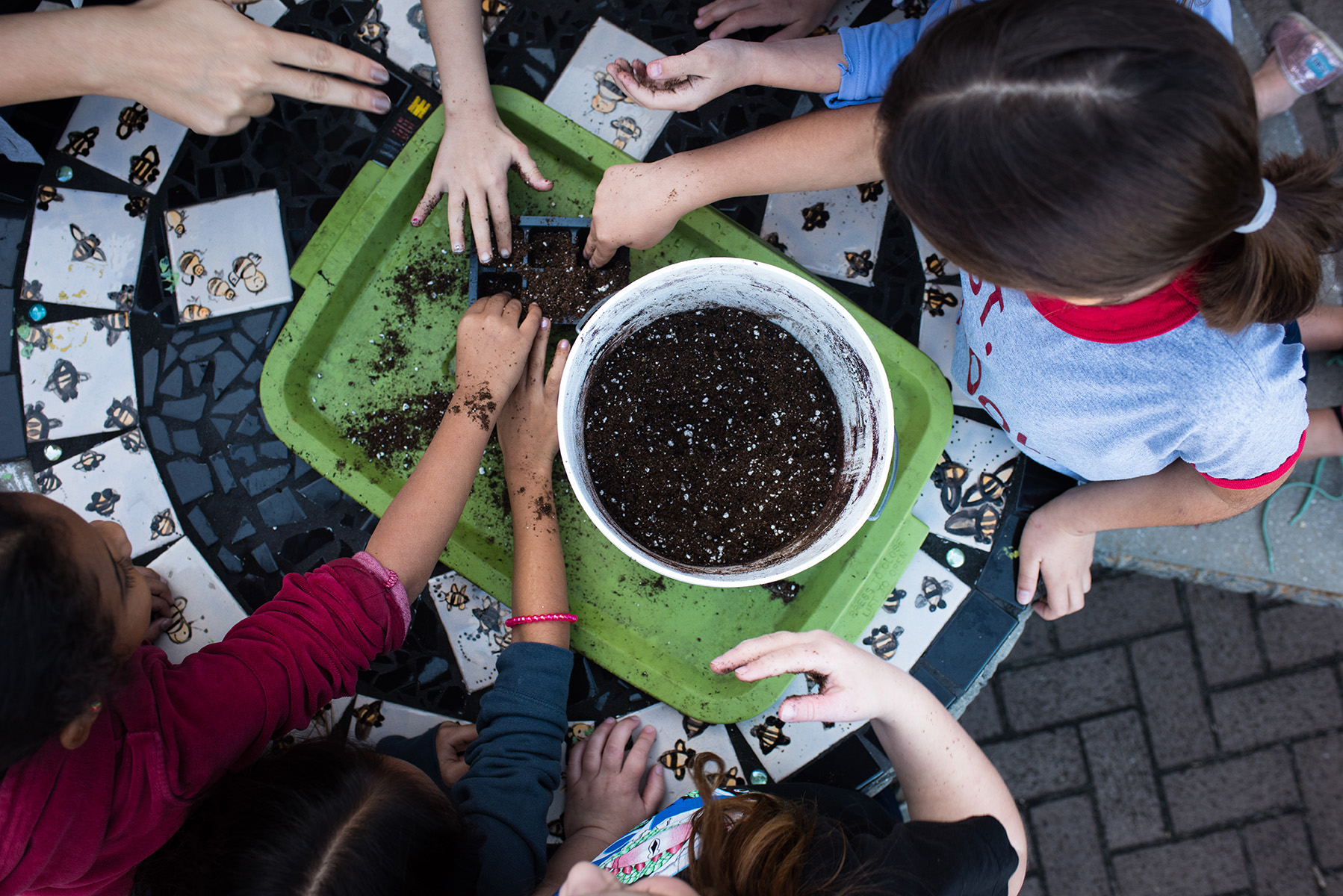 Homeschool Gardening for Child Development